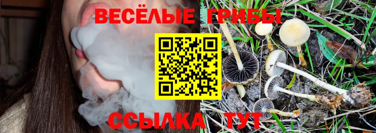 Магадан  Псилоцибиновые грибы MAGIC MUSHROOMS  Вход с VPN 