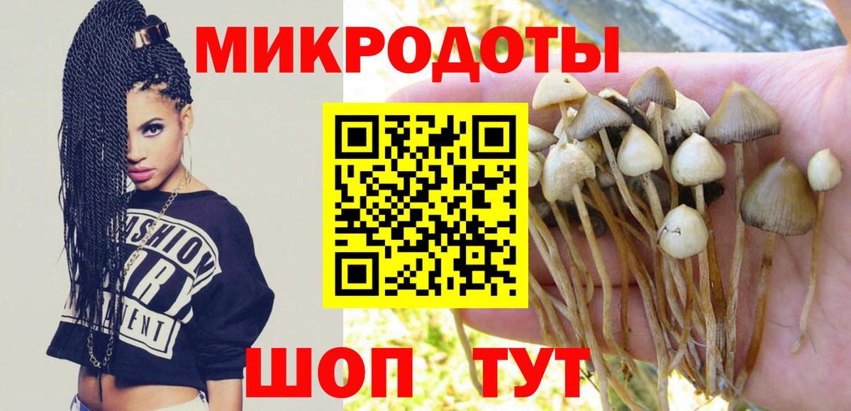 Псилоцибиновые грибы Psilocybine cubensis Магадан
